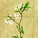 Hisanori Mae Gallery